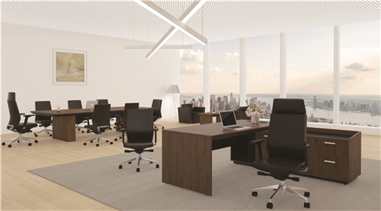 24 - Elise Executive Chair and Prime Executive Office